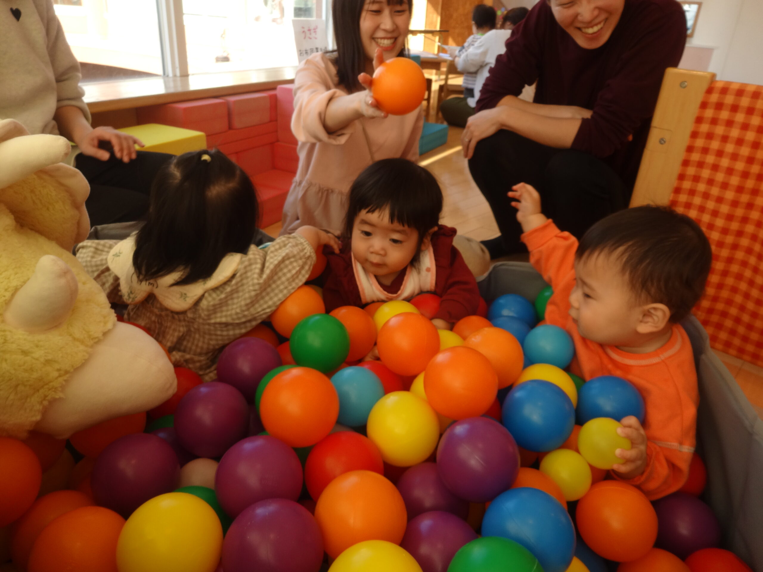 Dr.5プロジェクト 基本コース 幼児教室ひまわり 幼児教室ひまわり特別 